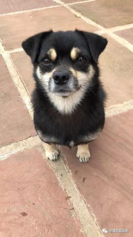 熊鹏：中国经济政策转向了吗？