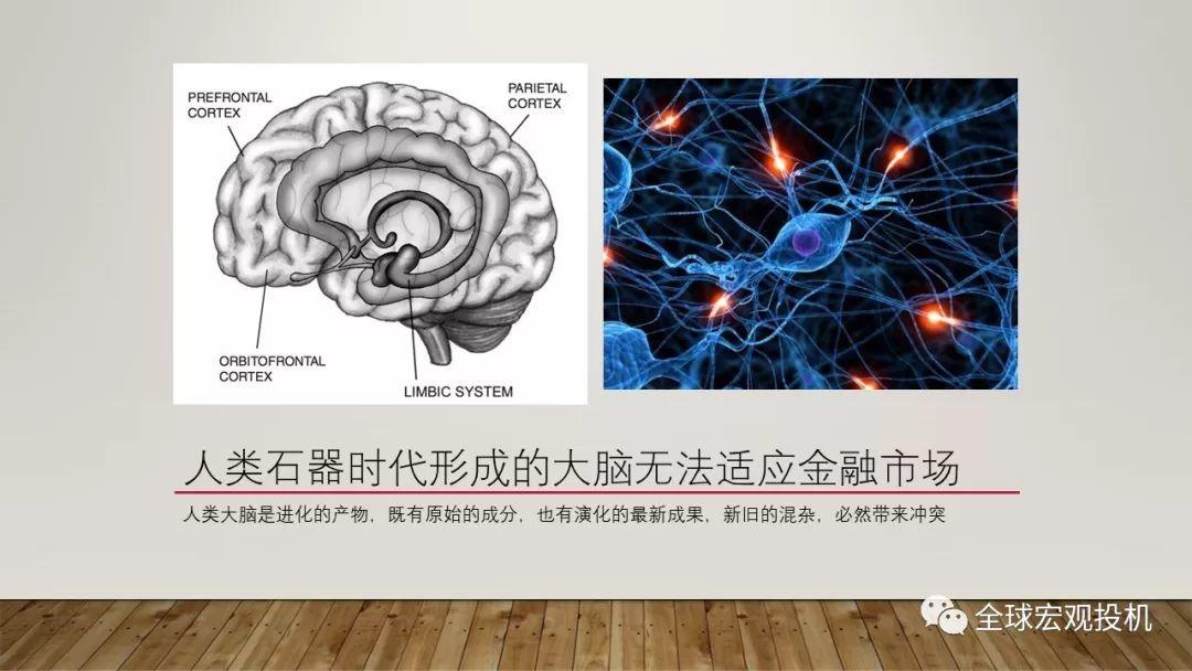 脑神经科学、宏观因子与主流偏见模型 脑神经科学、宏观因子与主流偏见模型