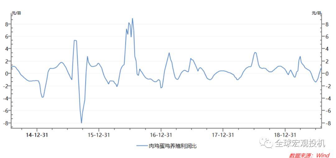 非洲猪瘟下的鸡蛋投资 非洲猪瘟下的鸡蛋投资