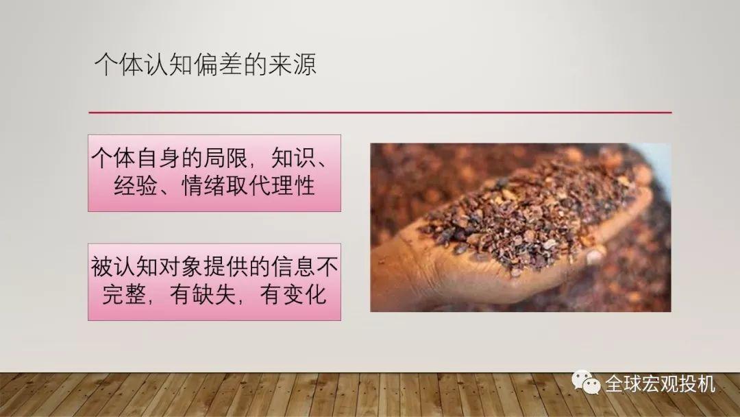 脑神经科学、宏观因子与主流偏见模型 脑神经科学、宏观因子与主流偏见模型