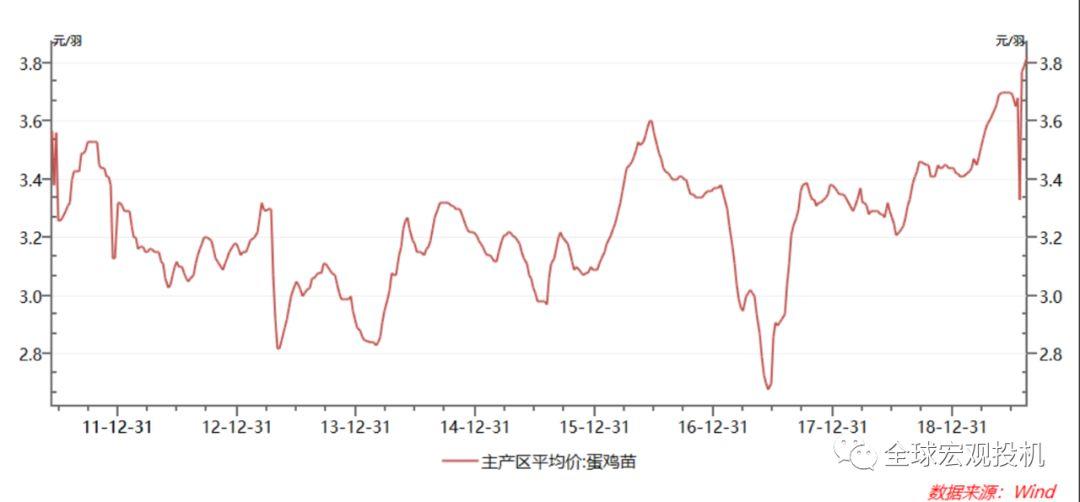 非洲猪瘟下的鸡蛋投资 非洲猪瘟下的鸡蛋投资