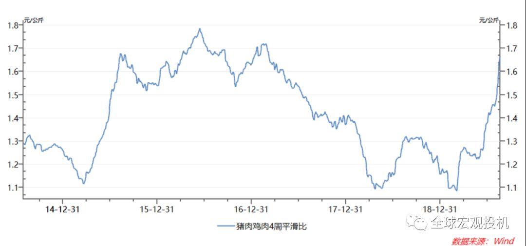 非洲猪瘟下的鸡蛋投资 非洲猪瘟下的鸡蛋投资