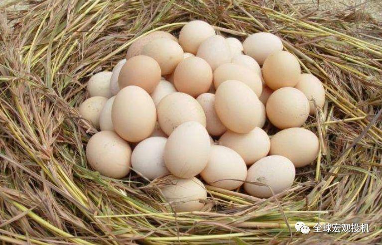 非洲猪瘟下的鸡蛋投资 非洲猪瘟下的鸡蛋投资