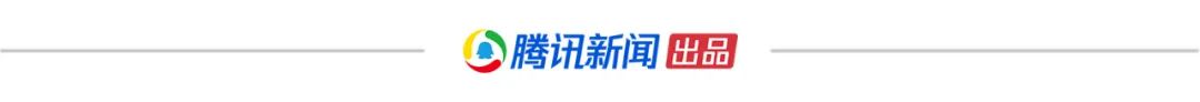 “黑天鹅”之后的新城控股，五万多中小股东何去何从？