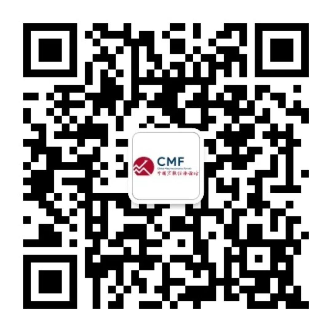 刘煜辉：中国经济“踩着刹车下坡”